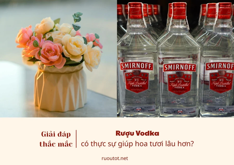 Giải Đáp Thắc Mắc: Rượu Vodka Có Thực Sự giúp Hoa Tươi Lâu Hơn?