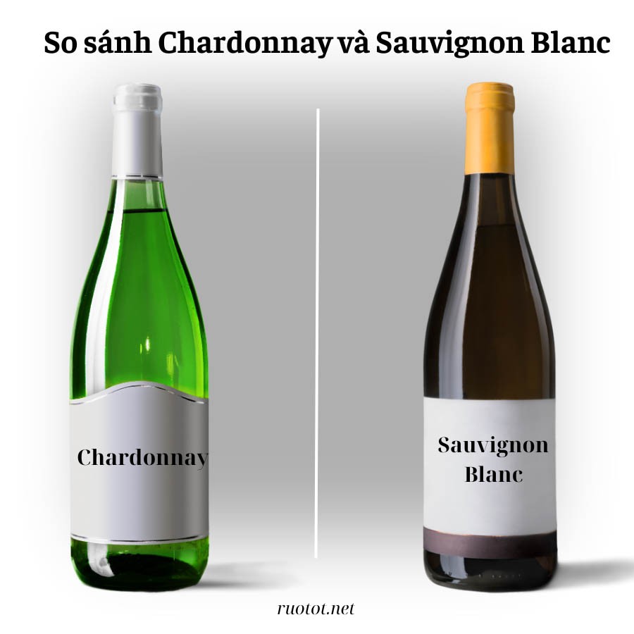 So sánh Chardonnay và Sauvignon Blanc