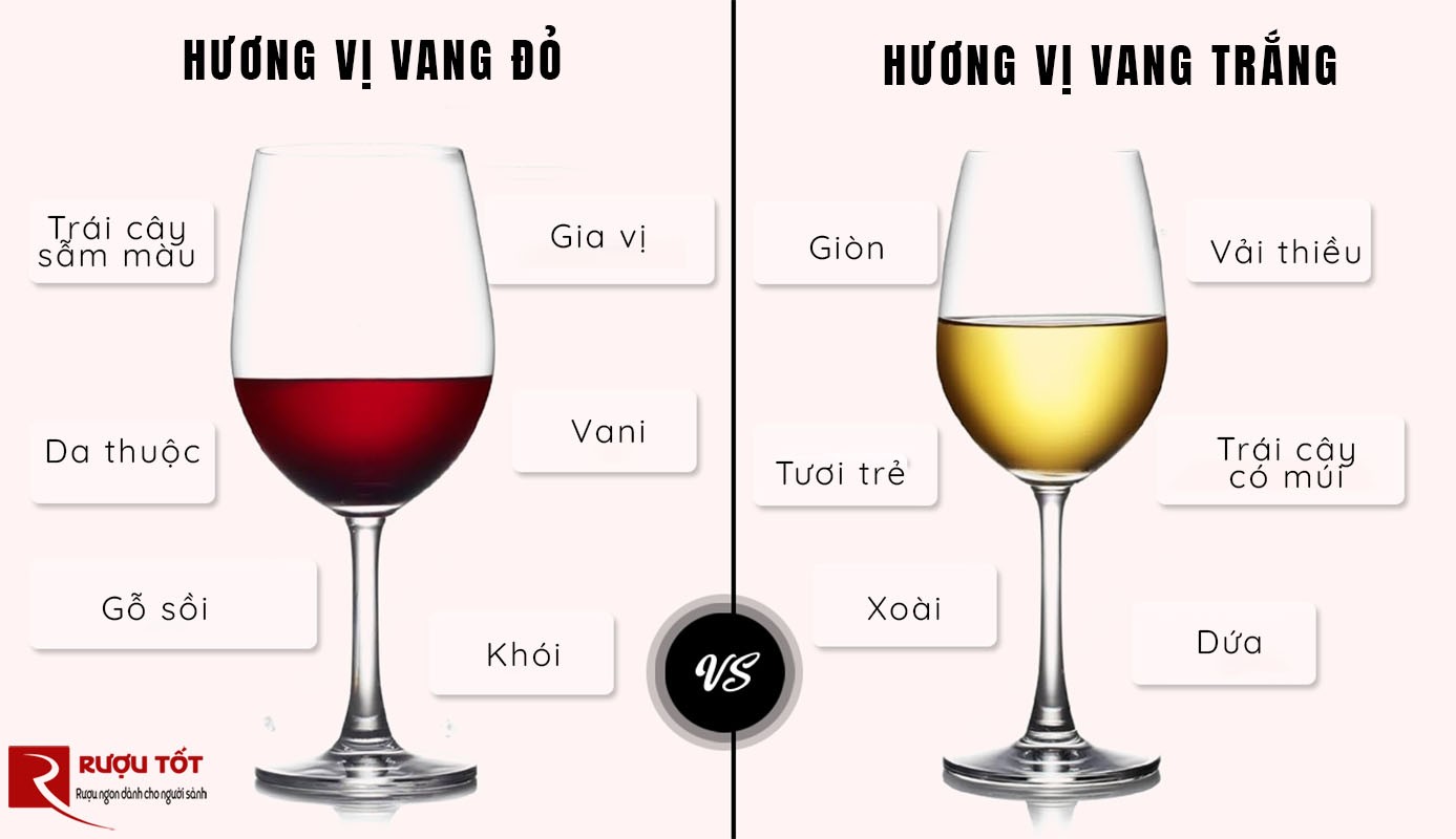 So sánh vang trắng và vang đỏ