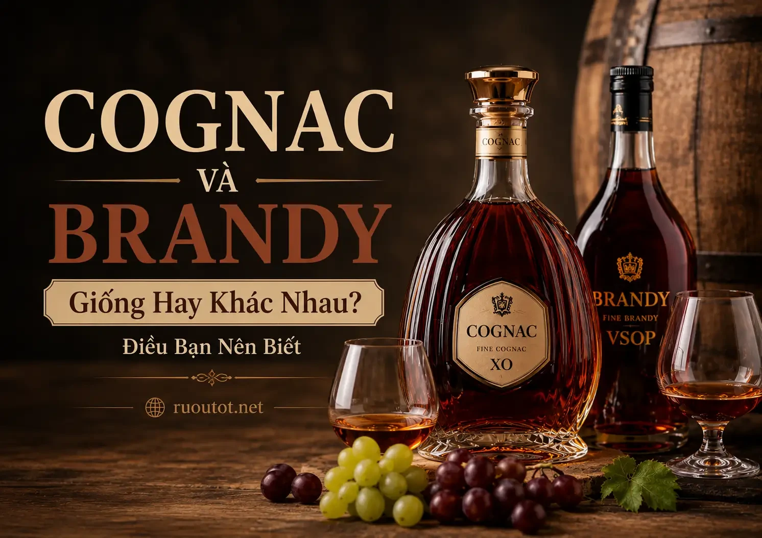 Cognac Và Brandy Giống Hay Khác Nhau? Những Điều Bạn Nên Biết