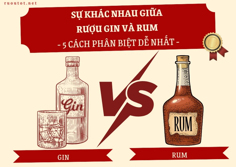 Sự Khác Nhau Giữa Rượu Gin Và Rum - Top 5 Cách Phân Biệt Dễ Nhất