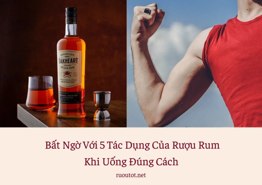 Bất Ngờ Với 5 Tác Dụng Của Rượu Rum Đối Với Sức Khỏe