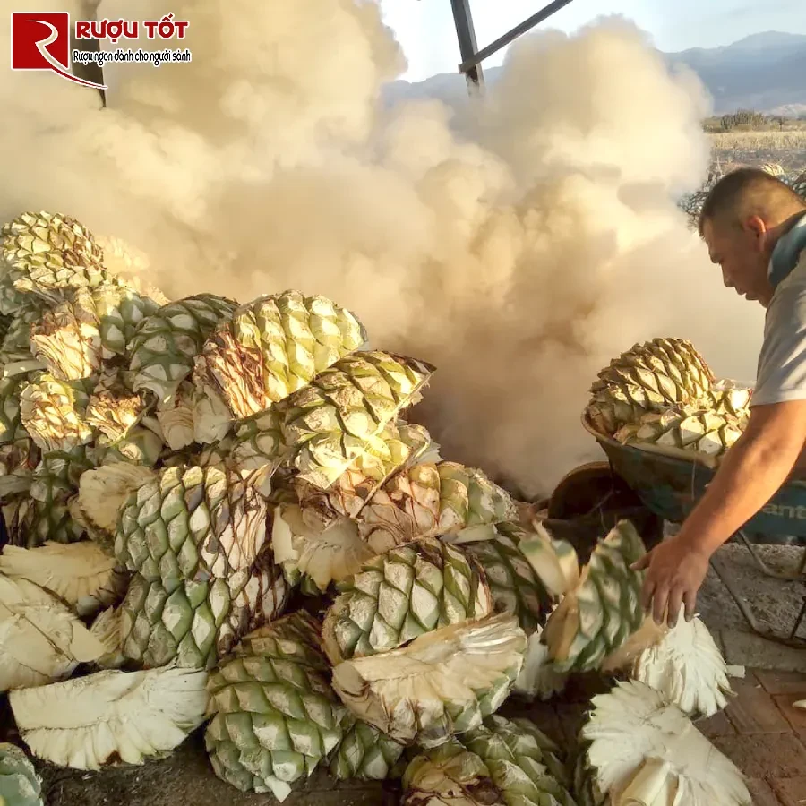 tai sao nhieu nha may tequila van su dung lo gach truyen thong