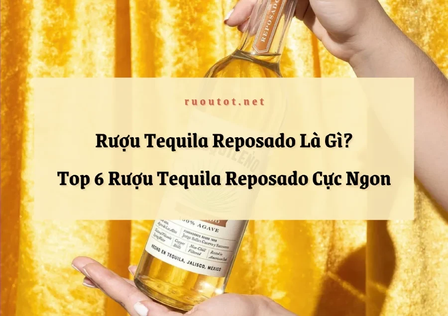 Rượu Tequila Reposado Là Gì? Top 6 Rượu Tequila Reposado Cực Ngon