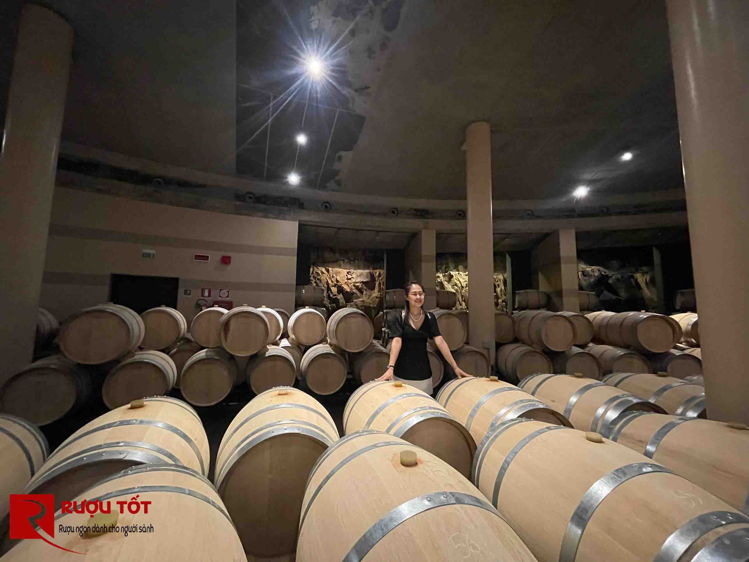 Tham quan hầm rượu vang Montepulciano của Tuscany