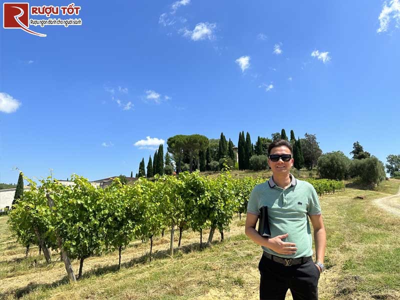 Hành trình khám phá Melini - Địa điểm không thể bỏ qua cho những người yêu thích rượu vang Ý