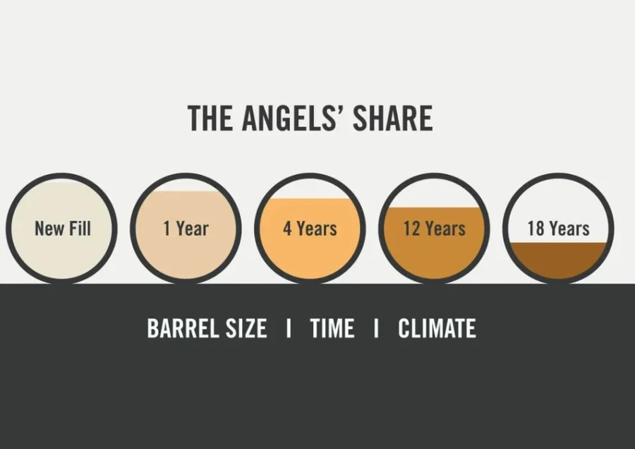Angel's Share Là Gì? Bí Mật Hàng Triệu Lít Cognac Biến Mất Mỗi Năm