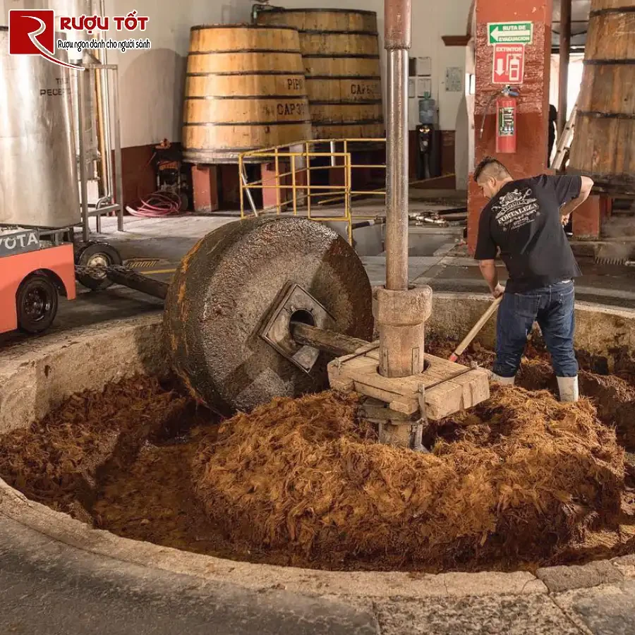 tong hop 29 thuat ngu ve ruou tequila