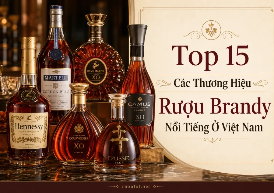 Top 15 Các Thương Hiệu Rượu Brandy Nổi Tiếng Ở Việt Nam