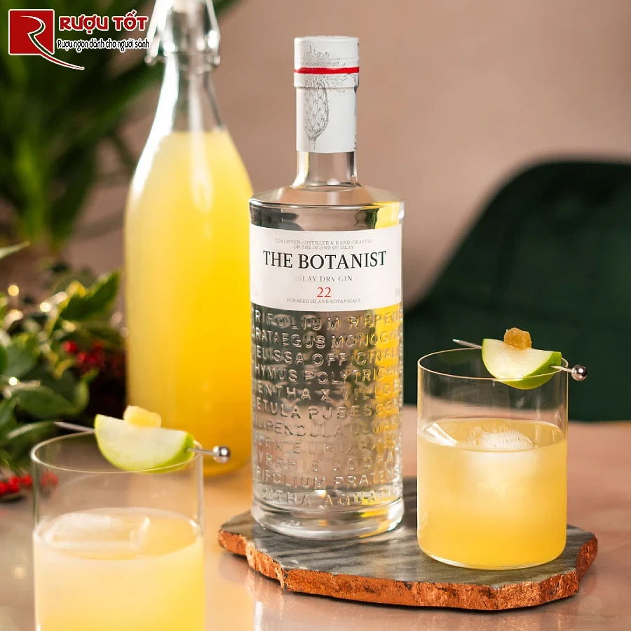 top 20 thuong hieu ruou gin dinh dam tren the gioi