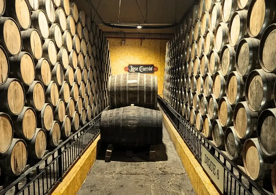 Khám Phá Top 6 Nhà Máy Tequila Lâu Đời Tại Mexico Còn Hoạt Động