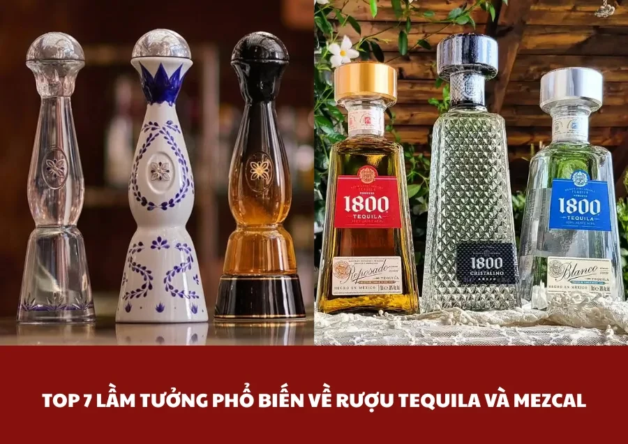 Top 7 Lầm Tưởng Về Rượu Tequila Và Mezcal Nhiều Người Mắc Phải