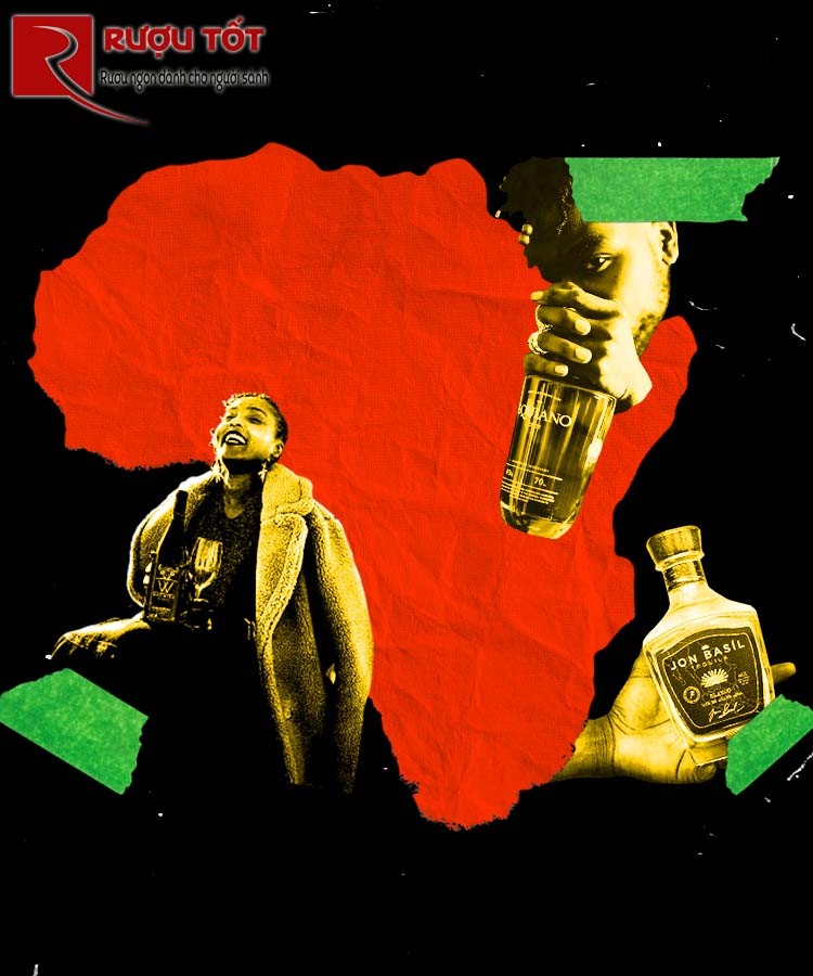 5 Phong cách và thương hiệu rượu vang châu Phi nổi tiếng nhất