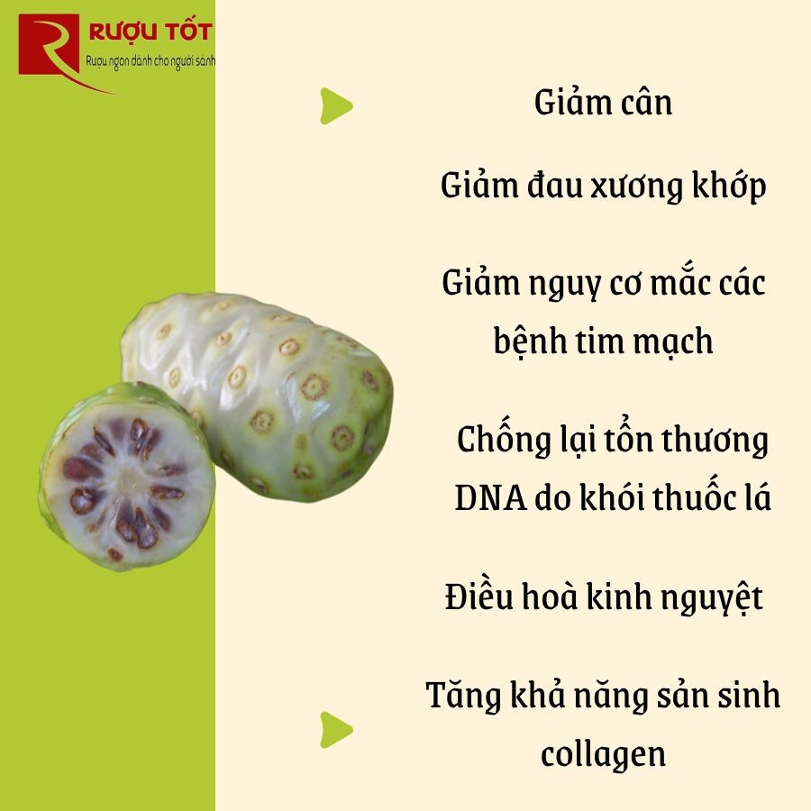 trái nhàu ngâm rượu trị bệnh gì