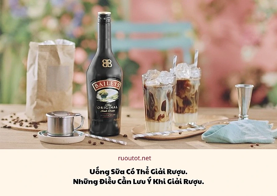 Uống Sữa Có Thể Giải Rượu. Những Điều Cần Lưu Ý Khi Giải Rượu