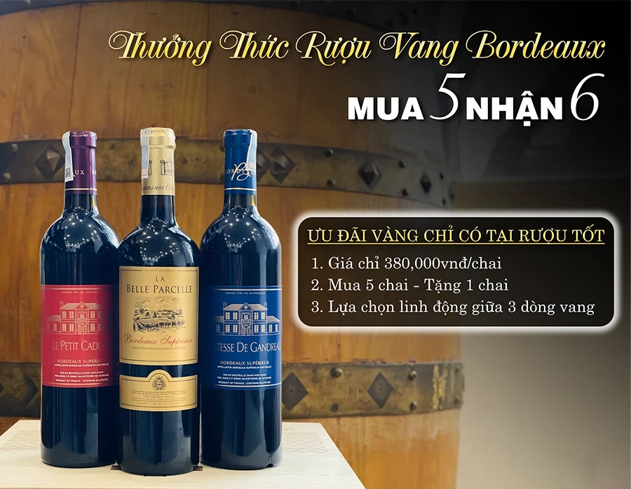 Ưu Đãi Lớn: Thưởng Thức Rượu Vang Bordeaux – Mua 5, Nhận 6