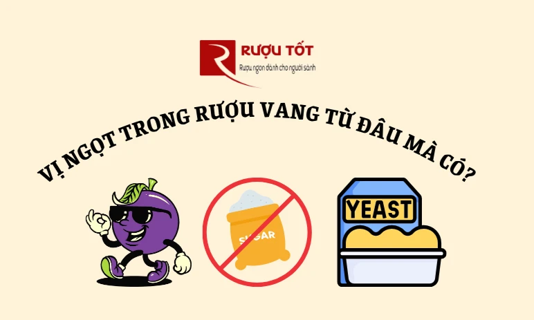Phân biệt rượu vang thật giả