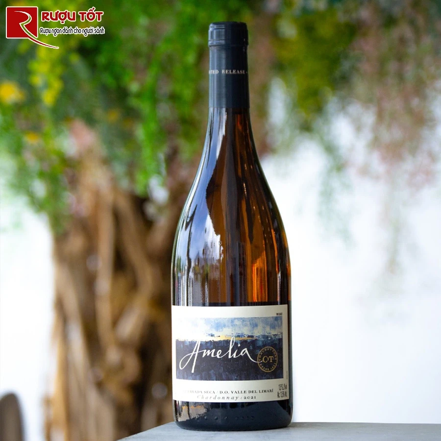 vina concha y toro thanh lap cong ty vina amelia
