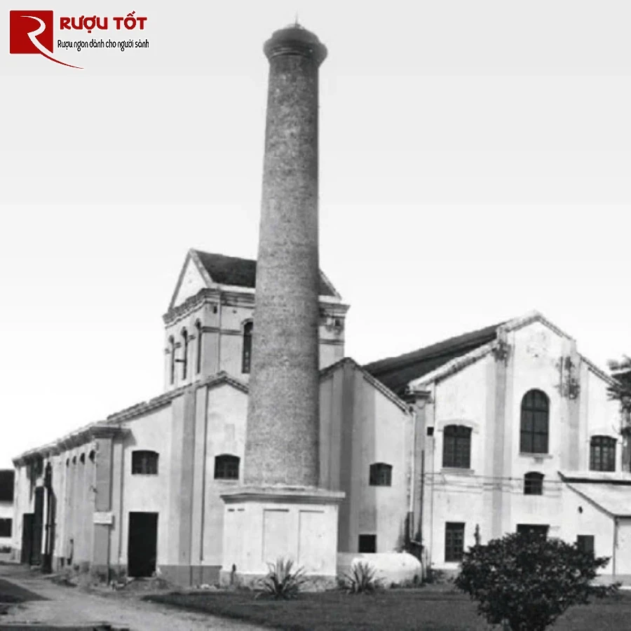 vodka 94 lo duc gia re