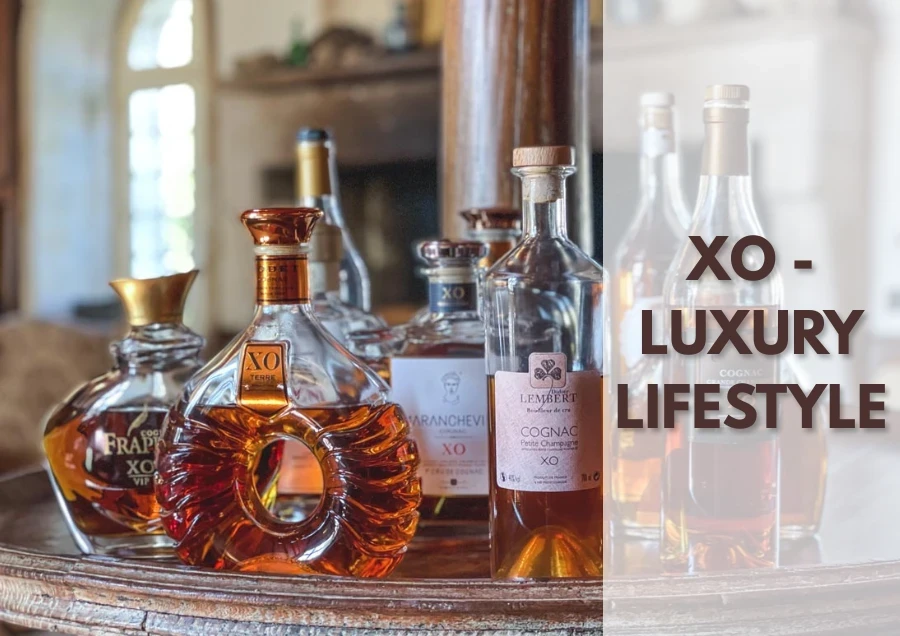 XO Trong Giới Thượng Lưu: Từ Văn Hóa Rượu Đến Kinh Doanh