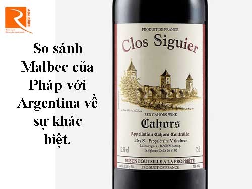 So sánh sự khác biệt giữa rượu Malbec của Pháp với Argentina