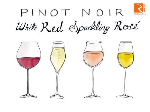 4 loại rượu vang làm từ nho Pinot Noir