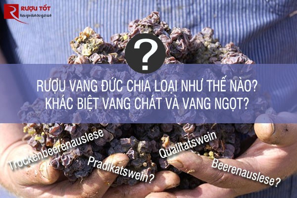 Phân biệt rượu vang thật giả