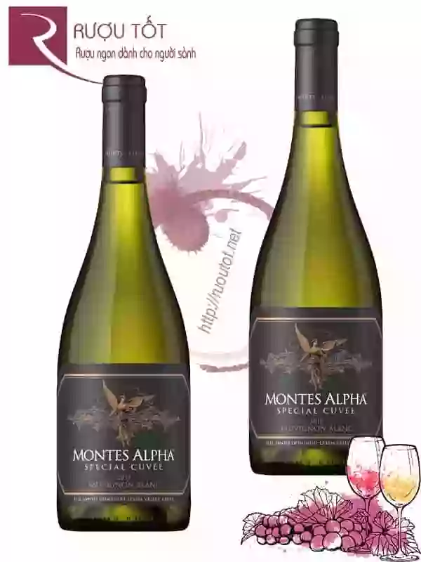 Vang Chile Montes Alpha Special Cuvee Sauvignon Blanc