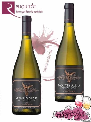 Vang Chile Montes Alpha Special Cuvee Chardonnay
