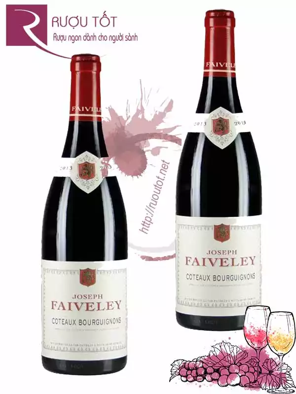 Vang Pháp Joseph Faiveley Coteaux Bourguignons Giá rẻ