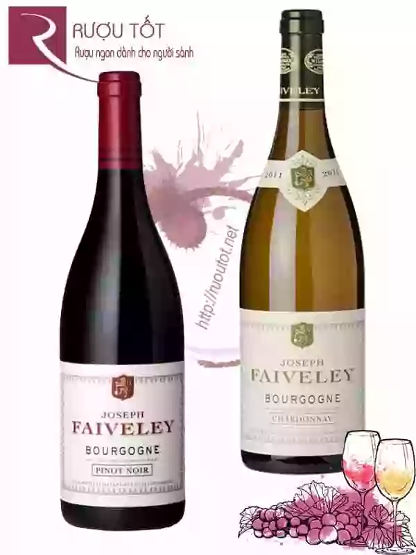 Vang Pháp Joseph Faiveley Bourgogne (Red White)