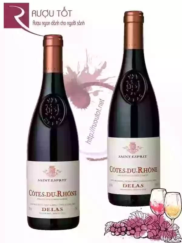 Vang Pháp Delas Wine Cotes du Rhone