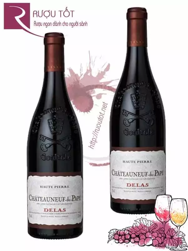 Vang Pháp Delas Haute Pierre Chateauneuf Du Pape