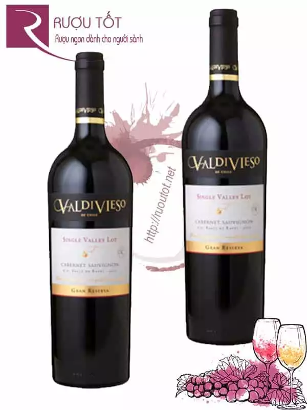 Vang Chile Valdivieso Gran Reserva (đỏ - trắng)