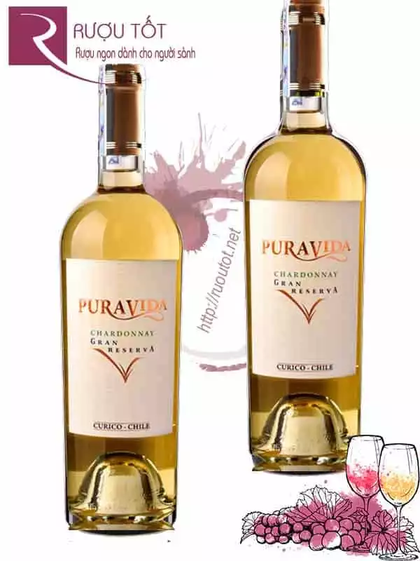 Vang trắng Chile PuraVida Gran Reserva Thượng hạng