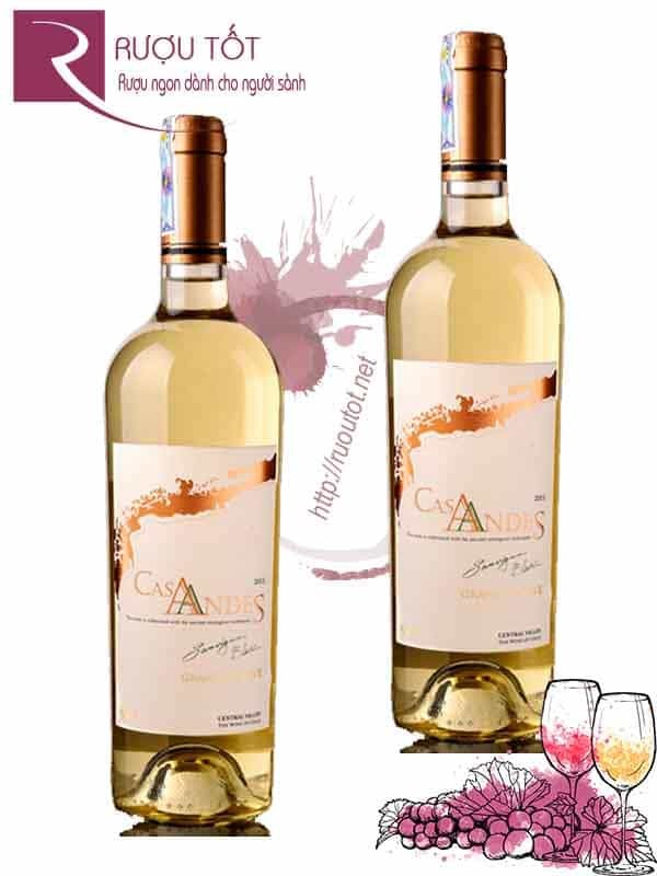 Rượu vang Chile Cas Andes Gran Reserva Sauvignon Blanc Cao Cấp