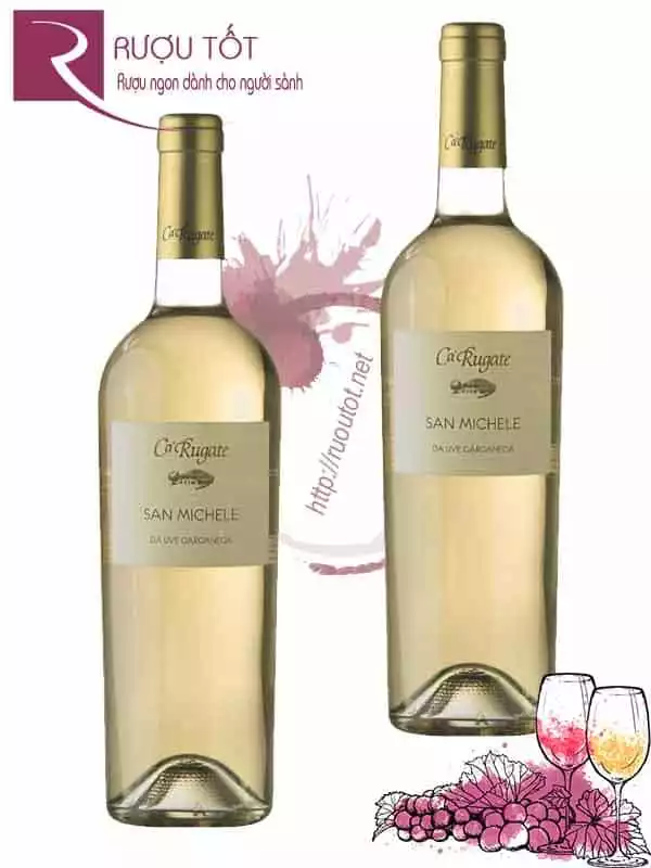 Vang Ý San Michele CaRugate Soave Classico Thượng hạng