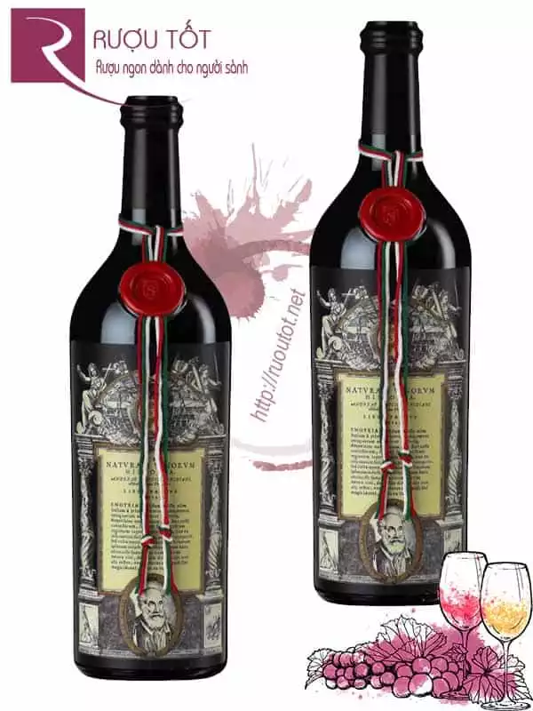 Vang Ý Salvano Langhe Rosso Trabuch Thượng hạng