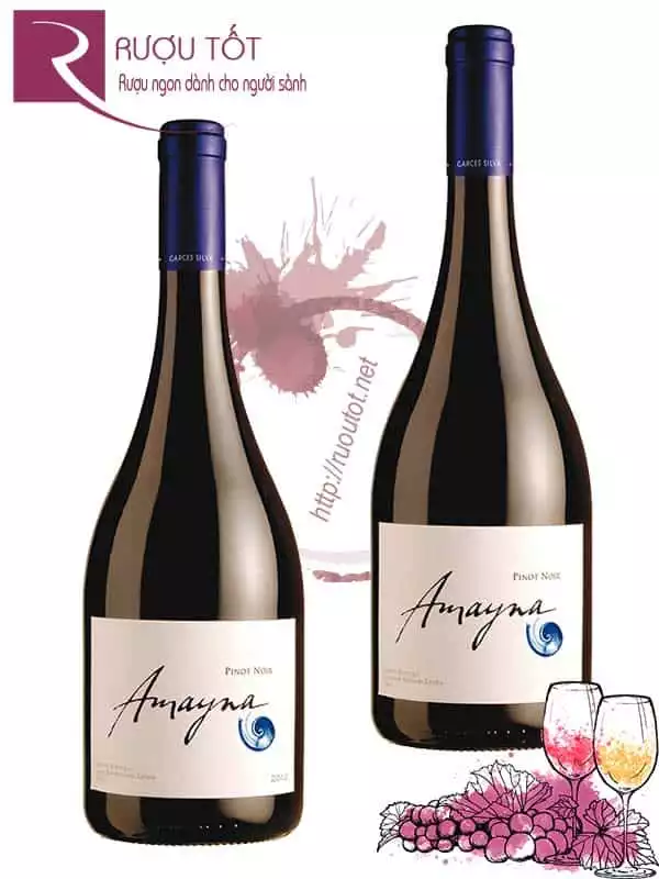 Vang Chile Amayna Pinot Noir - Syrah cao cấp chính hãng