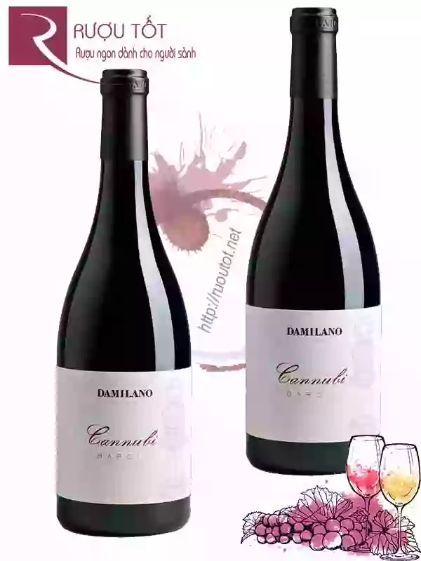 Rượu vang Damilano Cannubi Barolo