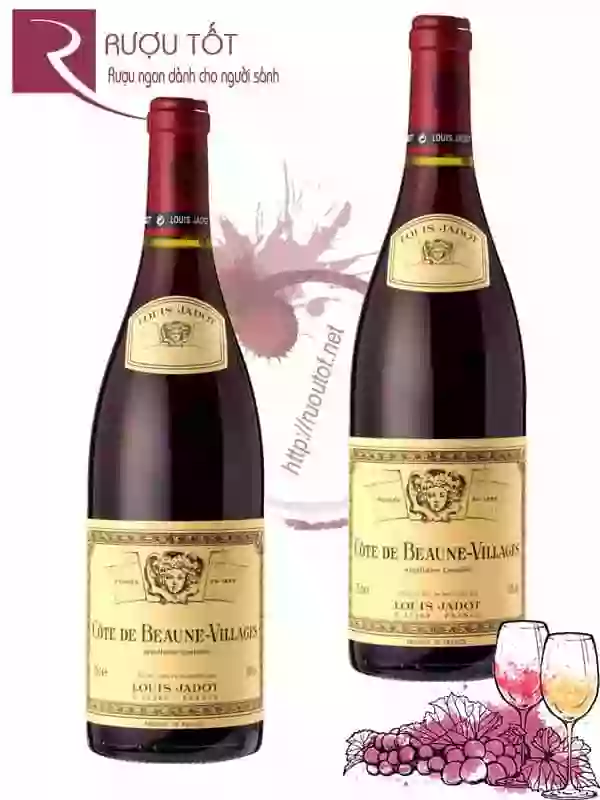 Rượu Vang Louis Jadot Cote de Beaune Villages Cao cấp