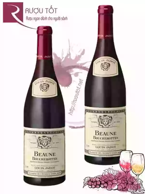 Rượu Vang Beaune Boucherottes Louis Jadot Thượng hạng