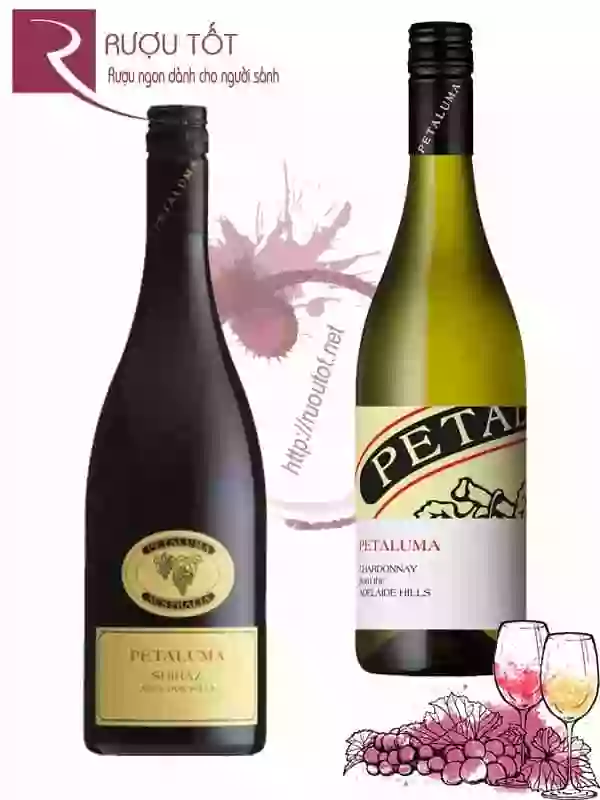 Rượu Vang Petaluma Yellow Label (Red White) Hảo hạng