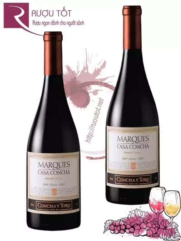 Vang Chile Marques Casa Concha Pinot Noir