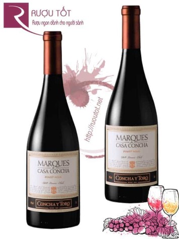 Vang Chile Marques Casa Concha Pinot Noir Concha Y Toro Hảo hạng
