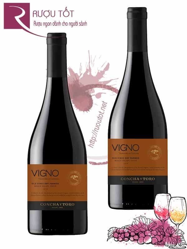 Vang Chile Vigno Old Vines Dry Farmed Concha Y Toro Carignan Cao cấp