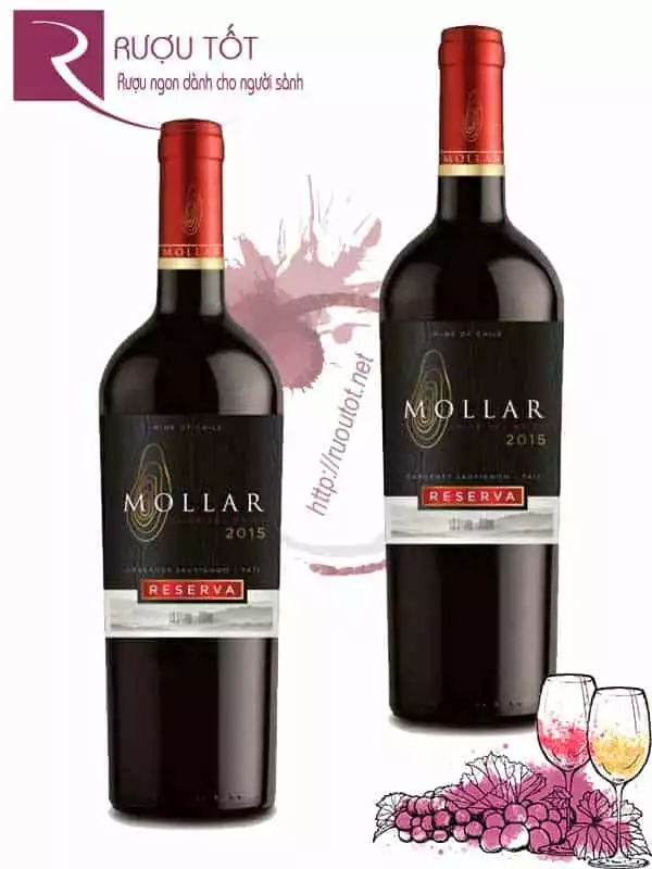 Vang Chile Mollar Reserva Cabernet Sauvignon