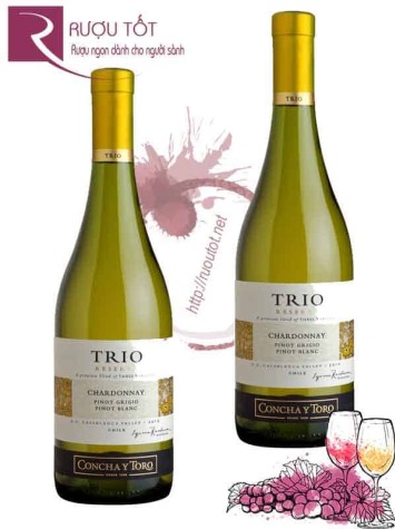 Vang Chile Trio Reserva Chardonnay Pinot Grigio Pinot Blanc Hảo hạng