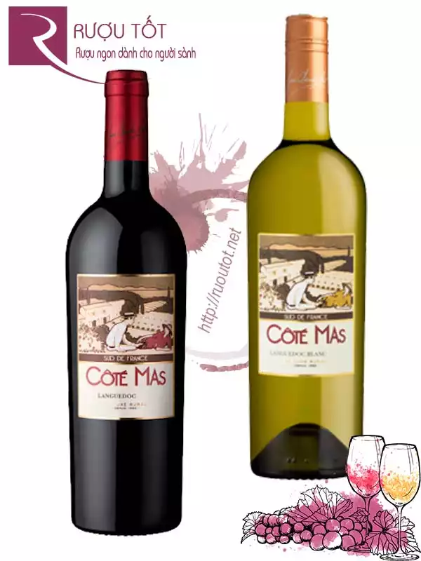 Vang Pháp Cote Mas Languedoc (đỏ-trắng) Cao cấp