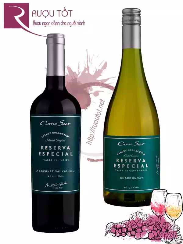 Vang Chile Cono Sur Reserva Especial (Red – White)